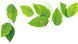 a.png